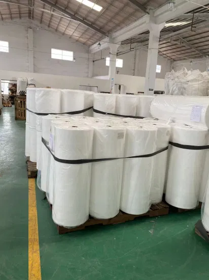 Factory Direct Sales Factory Wholesale Spunbond Non Woven Polypropylene Fabric